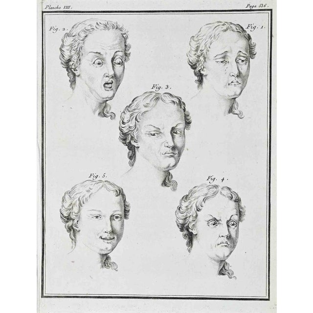 Buffon, Histoire Naturelle, Planche VIII (p. 536) Copper engraving depicting five studies of human facial expressions,...