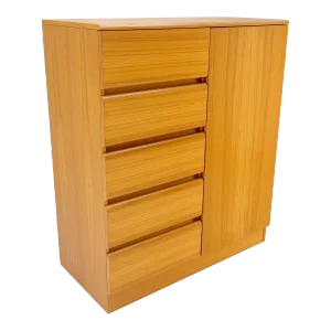 Danish Mid-Century Modern Teak Side by Side Cabinet w 5 Drawers Shelf Compartmet