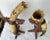 Pair of Anglo-Indian Mounted Steer Horns For Sale - Image 4 of 13