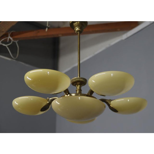 Art Nouveau Six-Light Brass Chandelier by Jencik, Czechoslovakia, 1920s For Sale - Image 12 of 17