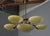 Art Nouveau Six-Light Brass Chandelier by Jencik, Czechoslovakia, 1920s For Sale - Image 12 of 17