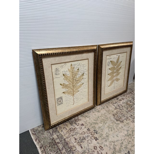 Design Plus Gallery presents a Set of Two Botanical Collection Plates. The two plates are identically framed with notch...