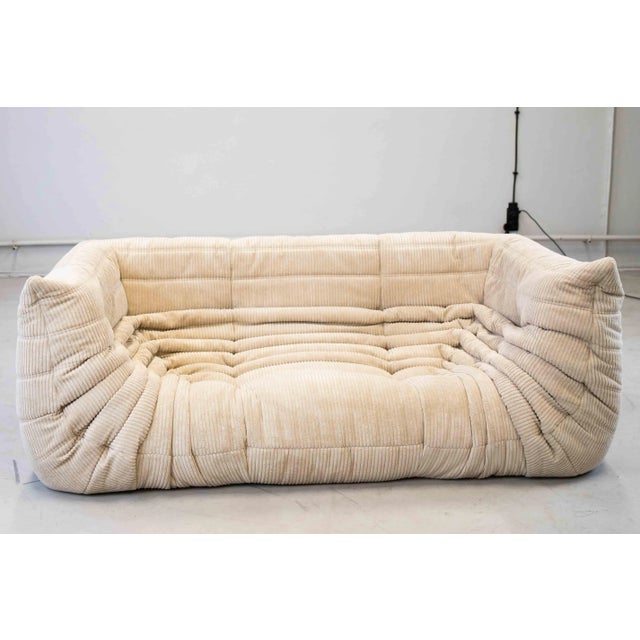 Vintage Two-Seat Togo Sofa with Arms in Beige Corduroy by Michel Ducaroy for Ligne Roset, 1970s For Sale - Image 9 of 18