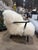 Four Hands Mongolian Sheepskin Accent Chair With Lumbar Pillow For Sale - Image 4 of 6