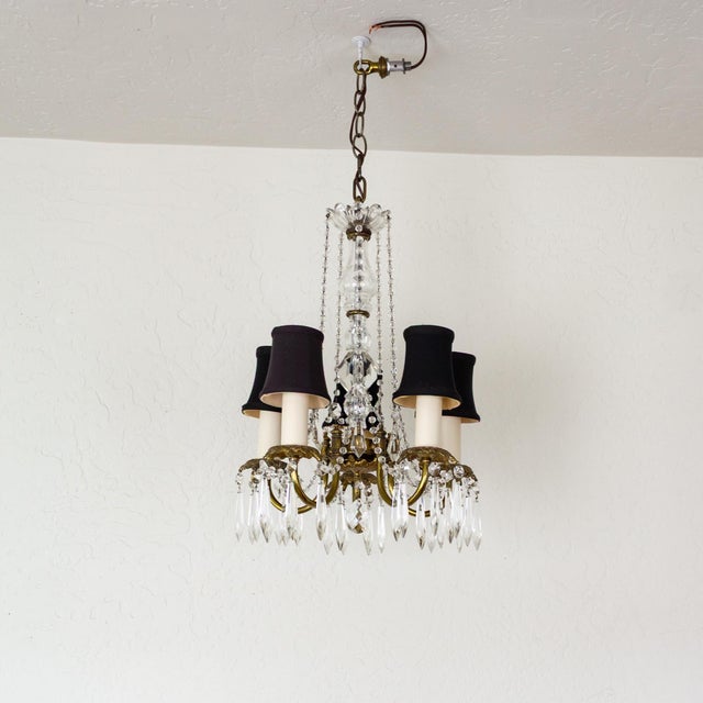 Petite French Louis XV Style Five Arm Crystal Chandelier With Black Lampshades For Sale - Image 17 of 18