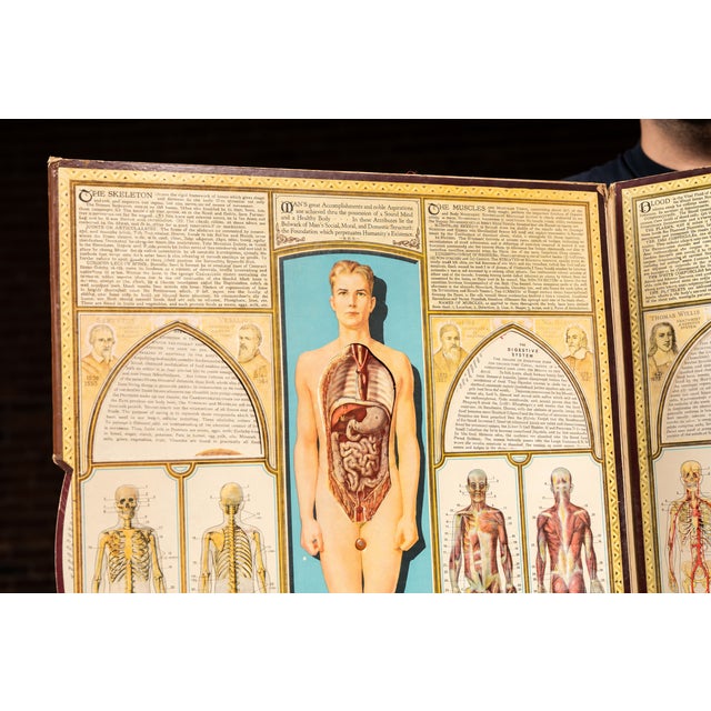 Vintage “Bodyscope” Rotating Anatomical Chart by Ralph H. Segal For Sale - Image 11 of 11