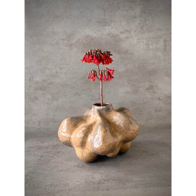 Bulbo Jaspe Organic Sculptural Vase in Handmade Ceramic by Pellizco Cerámica For Sale - Image 9 of 9