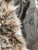 Animal Skin Fabulous Coyote Fur Throw For Sale - Image 7 of 7