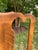 Queen Anne Set of 6 Vintage Custom Bench-Made Queen Anne Walnut Dining Chairs With Burl Details For Sale - Image 3 of 6