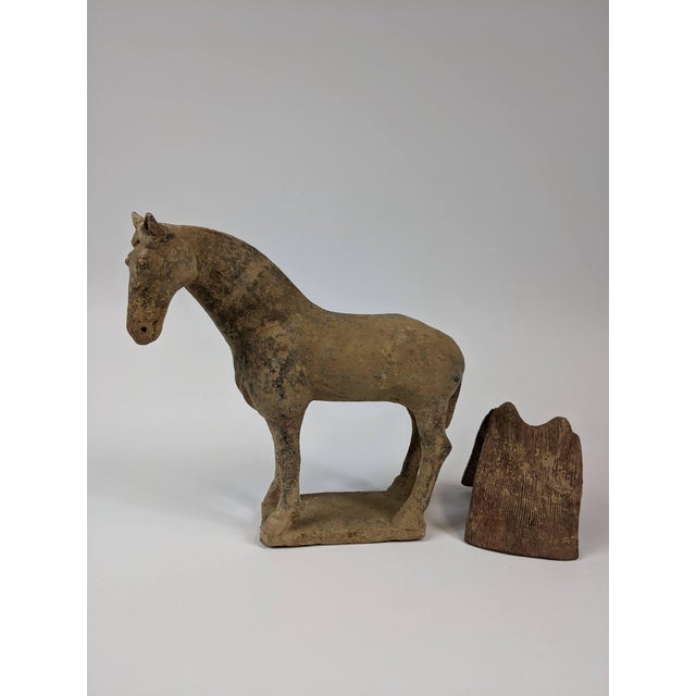 15th Century & Earlier Tang Horse With Removable Saddle For Sale - Image 5 of 6