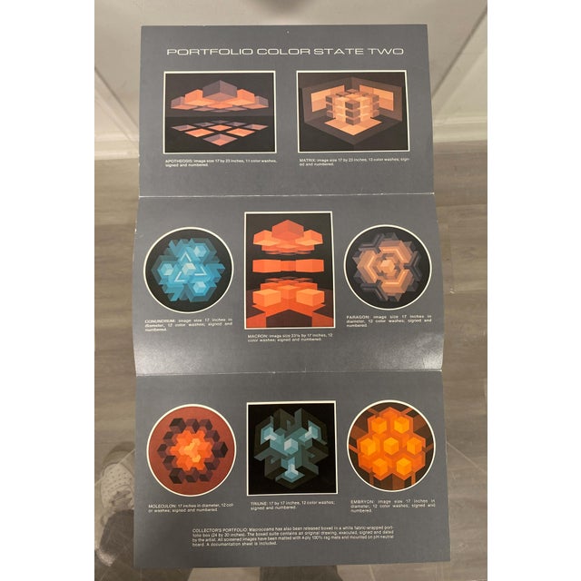 Brian Halsey Macron Serigraph 4/75 State I/Ii Signed & Framed For Sale In Detroit - Image 6 of 10