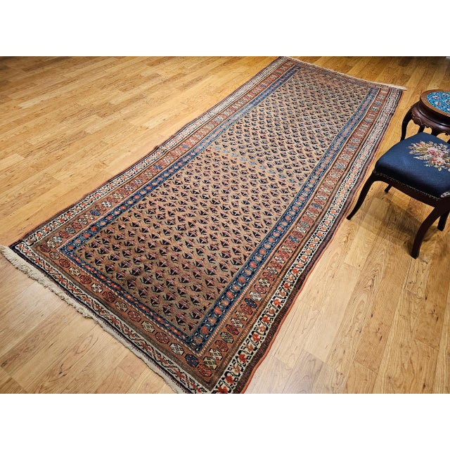 Tan Vintage Persian Kurdish Bidjar Gallery Rug, Hand-Knotted Wool, Allover Paisley Design, Camelhair & Blue, 5x12 For Sale - Image 8 of 16