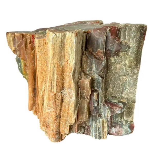 15th Century & Earlier Natural Petrified Wood Specimen. #1 For Sale - Image 5 of 11