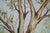 "Gawler Gums", Australian Gum Trees Landscape by D. Millowick For Sale - Image 4 of 9