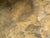 Brass Italian Hammered Brass Planter Stamped Egidio Casagrande For Sale - Image 8 of 10