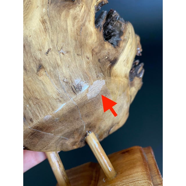 Vintage Hand Carved Parasite Wood Owl For Sale - Image 9 of 11