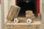 Mid-Century Modern Wooden Truck Toy, France, 1950s For Sale - Image 3 of 13
