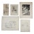 Collection of Late 19th Century Architectural Drawing - Set of 5 For Sale