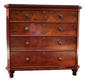 19th Century George IV Style English Mahogany Dresser
