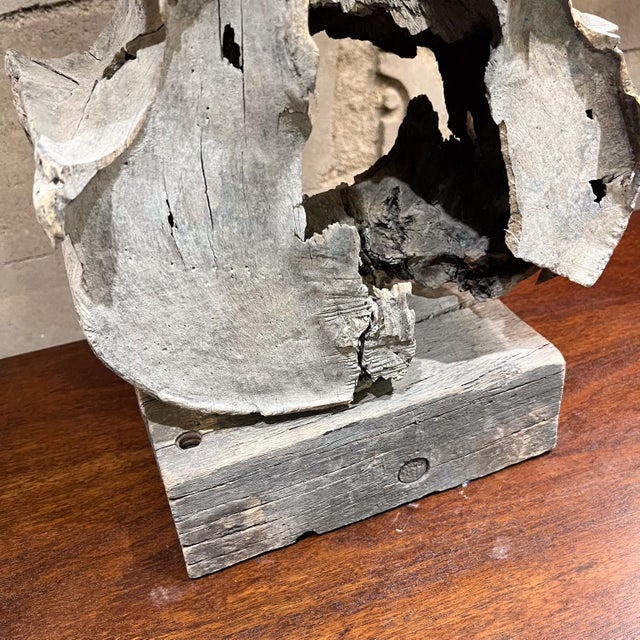 1950s Abstract Art Mesquite Wood Sculpture Mexico For Sale - Image 9 of 12