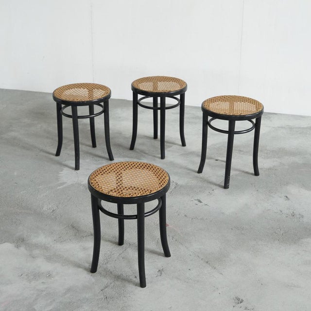 Wood Vintage Stools in Lacquered Wood and Webbing, 1970s, Set of 4 For Sale - Image 7 of 11