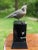 Bronze Meadowlark by Tim TerMeer Le 1/35 Bronze Sculpture on Marble Platform Base For Sale - Image 8 of 13