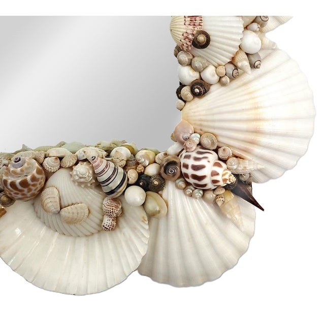 Shell Seashell White Wall Mirror For Sale In Miami - Image 6 of 14