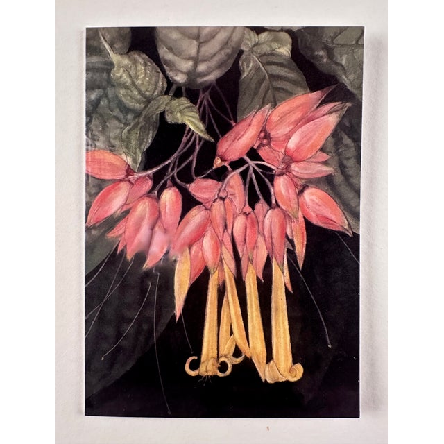 Set of 6 Folded Note Cards Printed From My Pastel Drawings For Sale - Image 9 of 10