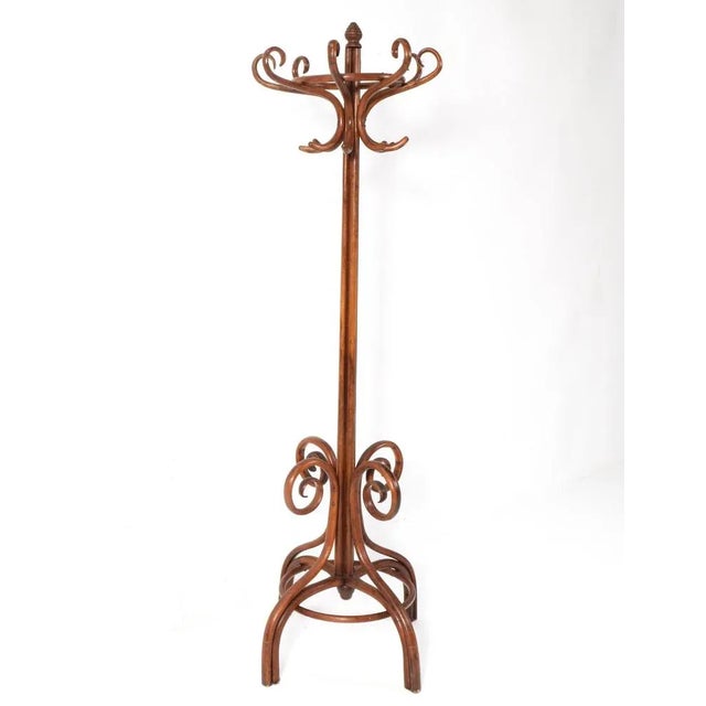 Wood Art Nouveau Beech & Bentwood Hat and Coat Stand, 1900s For Sale - Image 7 of 7
