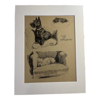 1935 Scotch and West Highland Terriers Aldin Print For Sale
