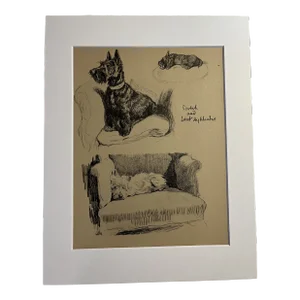 1935 Scotch and West Highland Terriers Aldin Print