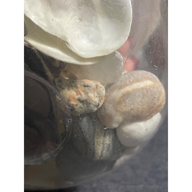 New England Curated Coastal Shell Display With Mushroom Lid For Sale - Image 11 of 12