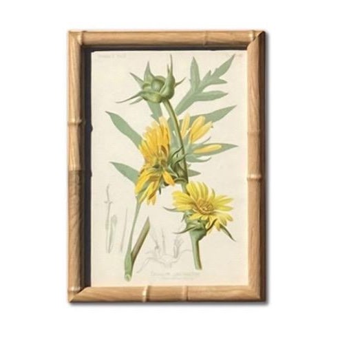 Victorian Antique Botanical Chromolithographs — “Wild Flowers of America”, Volume I, L. Prang & Co., Boston (C. 1877) Set of 13 For Sale - Image 3 of 17