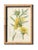 Victorian Antique Botanical Chromolithographs — “Wild Flowers of America”, Volume I, L. Prang & Co., Boston (C. 1877) Set of 13 For Sale - Image 3 of 17