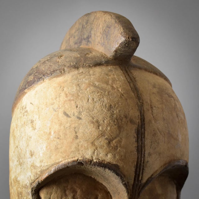 Early 20th Century Fang Mask Ngil Society Gabon For Sale - Image 11 of 13