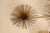 Mid-Century Modern Curtis Jeré Mid Century Modern Urchin Wall Sculpture For Sale - Image 3 of 18