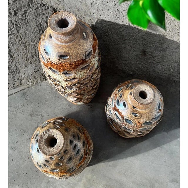Vintage Organic Banksia Seed Vases- Set of 3 For Sale - Image 9 of 12