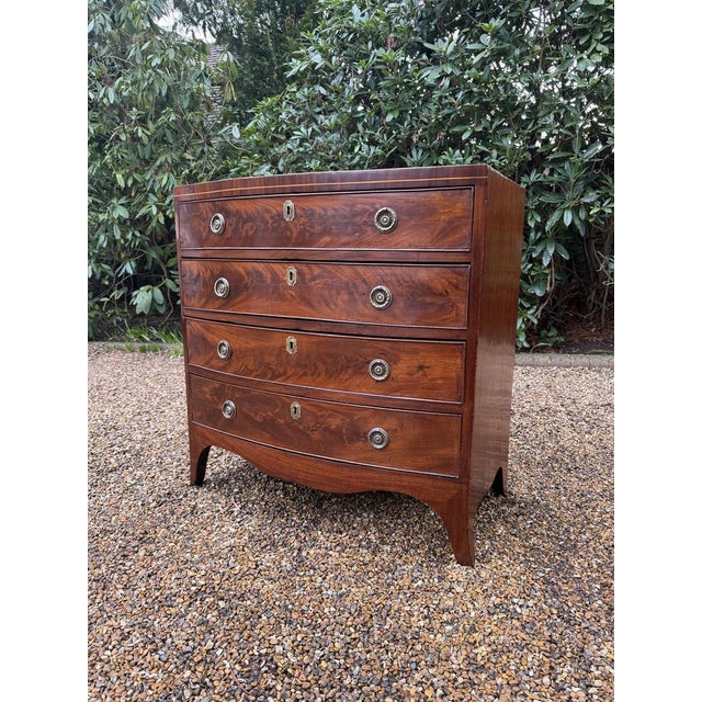 Antique Georgian Mahogany Bow Fronted Chest of Drawers, 1820 For Sale - Image 4 of 12