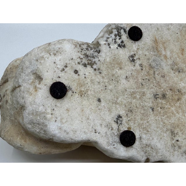 Antique Classical Marble Stone Fragment Lions Claw For Sale - Image 4 of 16