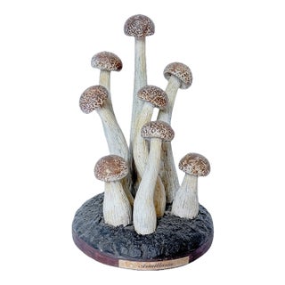 Vintage Mushroom Model Specimen Sculpture For Sale