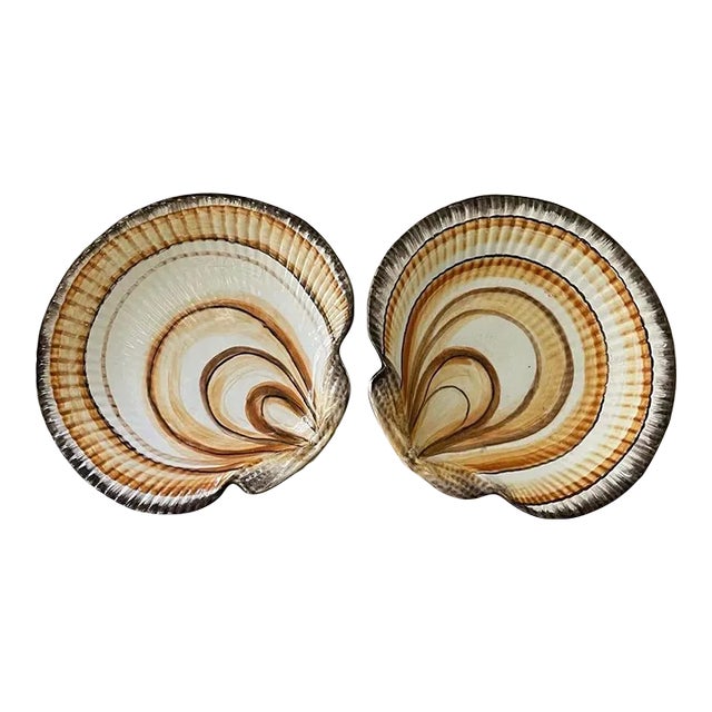 A Pair of Painted Scallop Plates For Sale