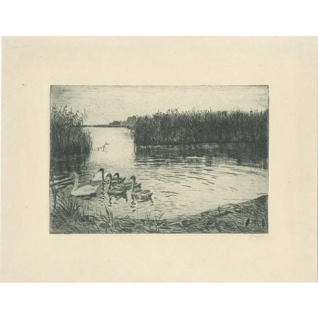 Ernst Kropp, Marsh Landscape with Swans, 1910, Etching For Sale - Image 9 of 9