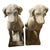 2000 - 2009 Pair of Vintage Weathered Cast Stone Seated Hound Garden Statues For Sale - Image 5 of 11