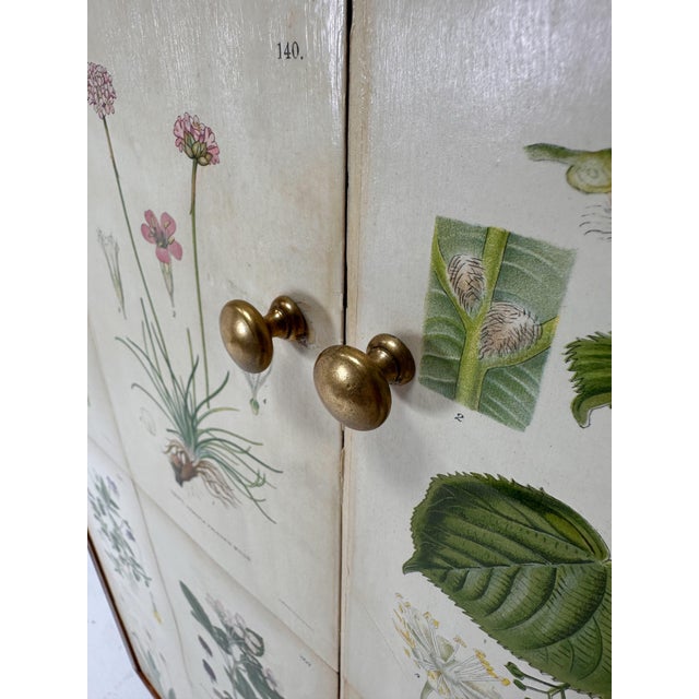 1950’s Swedish Cabinet With Nordens Flora Illustrations For Sale - Image 9 of 11