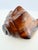 A vintage hand-carved wood sculpture modeled as a conch shell, with sweeping curves, raised ridges, and a deeply carved...