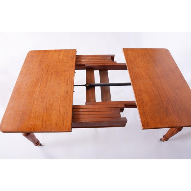 19th Century British Dining Room in Satin Wood, Set of 15 For Sale - Image 14 of 18