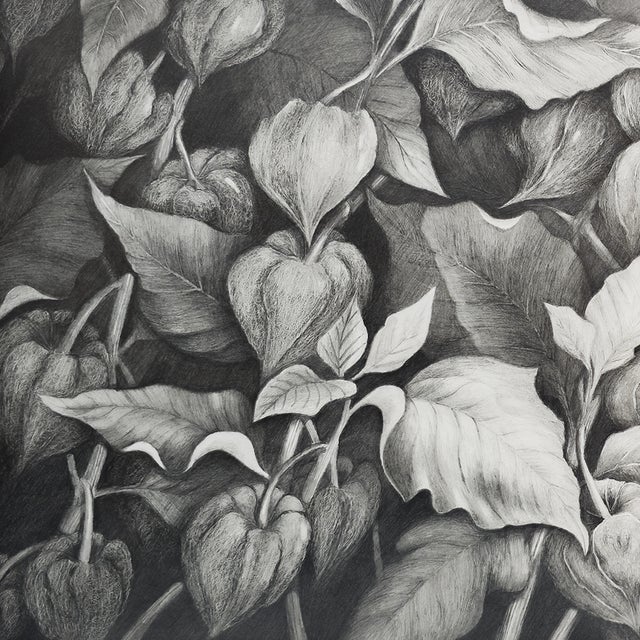Chinese Lantern #2 - Tomoko Parry, C. 1990s For Sale - Image 4 of 10
