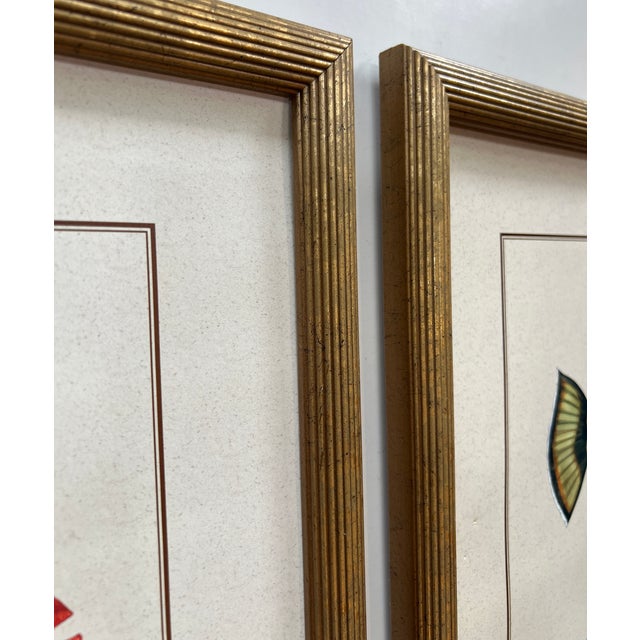 1990s Late 20th Century 'Tropical Fish 1 & 2' Art Prints by Maggie Riegler - Pair For Sale - Image 5 of 11