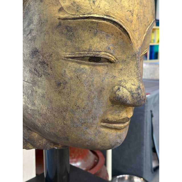 Early 20th Century Southeast Asian Gilded Buddha Sculpture on Bronze Rain Drum Base For Sale - Image 18 of 18