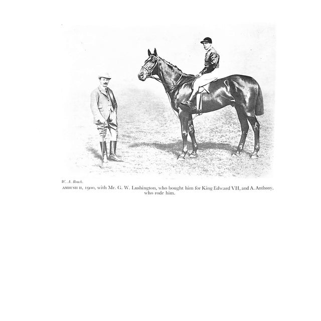 "A Hundred Grand Nationals" 1937 Bird, t.h. For Sale - Image 12 of 12